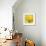 Yellow Mum IV-Jenny Kraft-Framed Giclee Print displayed on a wall