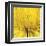 Yellow Mum IV-Jenny Kraft-Framed Giclee Print