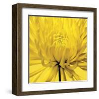 Yellow Mum IV-Jenny Kraft-Framed Giclee Print