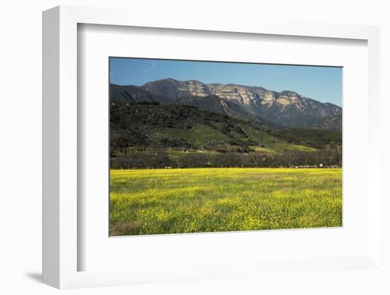 Yellow Mustard and Topa Topa Mountains in Spring, Upper Ojai, California, Usa, 04.26.2014-Joseph Sohm-Framed Photographic Print