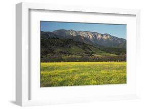 Yellow Mustard and Topa Topa Mountains in Spring, Upper Ojai, California, Usa, 04.26.2014-Joseph Sohm-Framed Photographic Print