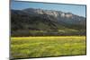 Yellow Mustard and Topa Topa Mountains in Spring, Upper Ojai, California, Usa, 04.26.2014-Joseph Sohm-Mounted Photographic Print