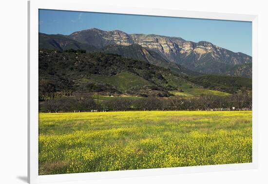 Yellow Mustard and Topa Topa Mountains in Spring, Upper Ojai, California, Usa, 04.26.2014-Joseph Sohm-Framed Photographic Print