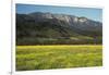 Yellow Mustard and Topa Topa Mountains in Spring, Upper Ojai, California, Usa, 04.26.2014-Joseph Sohm-Framed Photographic Print