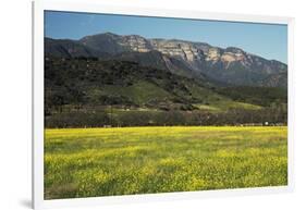 Yellow Mustard and Topa Topa Mountains in Spring, Upper Ojai, California, Usa, 04.26.2014-Joseph Sohm-Framed Photographic Print