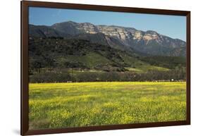 Yellow Mustard and Topa Topa Mountains in Spring, Upper Ojai, California, Usa, 04.26.2014-Joseph Sohm-Framed Photographic Print