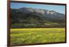 Yellow Mustard and Topa Topa Mountains in Spring, Upper Ojai, California, Usa, 04.26.2014-Joseph Sohm-Framed Photographic Print