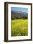 Yellow Mustard and Topa Topa Mountains in Spring, Upper Ojai, California, Usa, 04.26.2014-Joseph Sohm-Framed Photographic Print