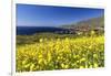 Yellow Mustard Bloom, Big Sur, California-George Oze-Framed Photographic Print