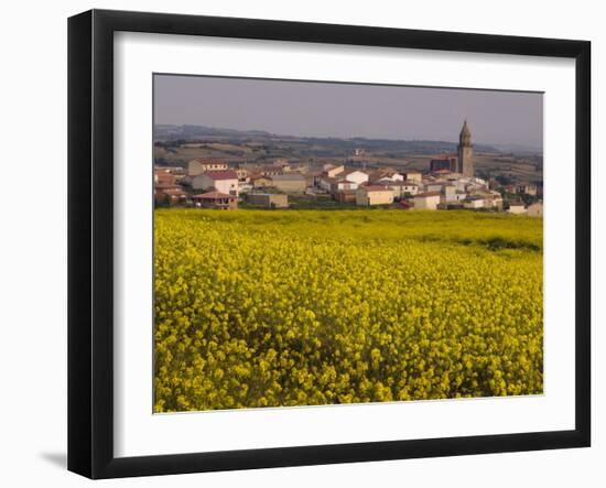 Yellow mustard flowers, Elvillar Village, La Rioja, Spain-Janis Miglavs-Framed Photographic Print