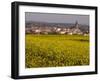 Yellow mustard flowers, Elvillar Village, La Rioja, Spain-Janis Miglavs-Framed Photographic Print