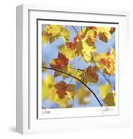 Yellow Oak Leaves-Ken Bremer-Framed Limited Edition