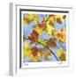 Yellow Oak Leaves-Ken Bremer-Framed Limited Edition