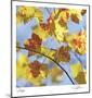 Yellow Oak Leaves-Ken Bremer-Mounted Limited Edition