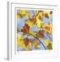 Yellow Oak Leaves-Ken Bremer-Framed Limited Edition