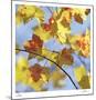 Yellow Oak Leaves-Ken Bremer-Mounted Limited Edition