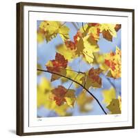 Yellow Oak Leaves-Ken Bremer-Framed Limited Edition