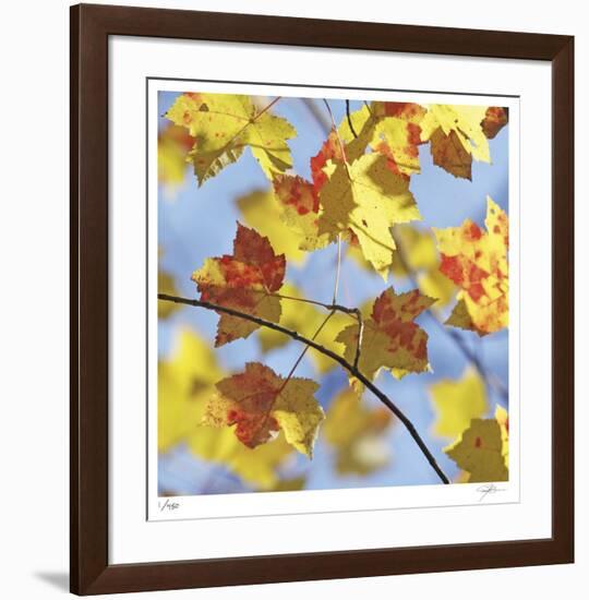 Yellow Oak Leaves-Ken Bremer-Framed Limited Edition