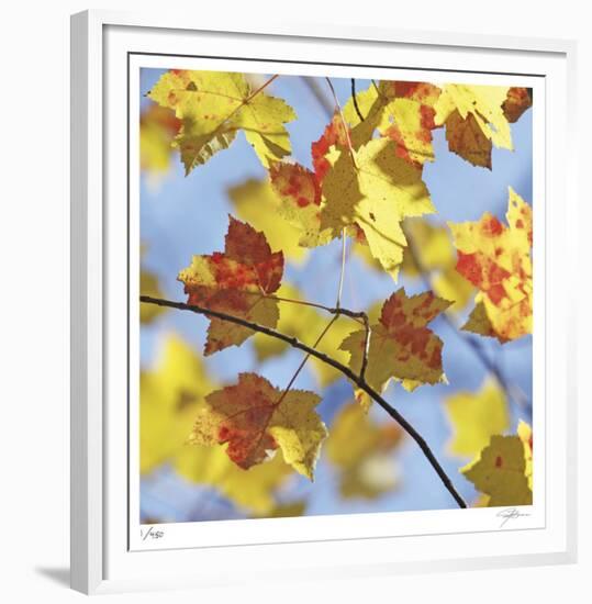 Yellow Oak Leaves-Ken Bremer-Framed Limited Edition