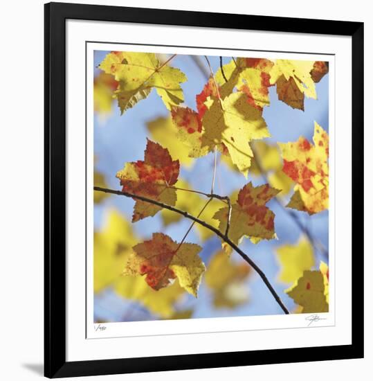 Yellow Oak Leaves-Ken Bremer-Framed Limited Edition