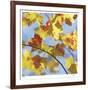 Yellow Oak Leaves-Ken Bremer-Framed Limited Edition