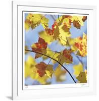 Yellow Oak Leaves-Ken Bremer-Framed Limited Edition