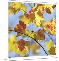 Yellow Oak Leaves-Ken Bremer-Mounted Limited Edition