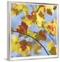 Yellow Oak Leaves-Ken Bremer-Framed Limited Edition