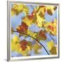 Yellow Oak Leaves-Ken Bremer-Framed Limited Edition