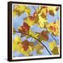Yellow Oak Leaves-Ken Bremer-Framed Limited Edition