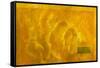 Yellow Ocean, 2004-Mathew Clum-Framed Stretched Canvas