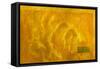 Yellow Ocean, 2004-Mathew Clum-Framed Stretched Canvas