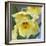 Yellow Orchid Blooms-Anna Miller-Framed Photographic Print