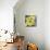 Yellow Orchid Blooms-Anna Miller-Mounted Photographic Print displayed on a wall