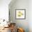 Yellow orchid-Micha Pawlitzki-Framed Premium Photographic Print displayed on a wall