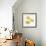 Yellow orchid-Micha Pawlitzki-Framed Photographic Print displayed on a wall