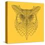 Yellow Owl Mesh-Lisa Kroll-Stretched Canvas