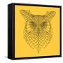 Yellow Owl Mesh-Lisa Kroll-Framed Stretched Canvas