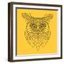 Yellow Owl Mesh-Lisa Kroll-Framed Art Print