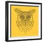 Yellow Owl Mesh-Lisa Kroll-Framed Art Print