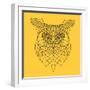 Yellow Owl Mesh-Lisa Kroll-Framed Art Print