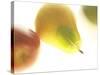 Yellow Pear-null-Stretched Canvas