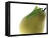 Yellow Pear-null-Framed Stretched Canvas