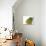 Yellow Pear-null-Photographic Print displayed on a wall