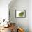 Yellow Pear-null-Framed Photographic Print displayed on a wall