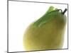 Yellow Pear-null-Mounted Photographic Print