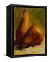 Yellow Pears-Pam Ingalls-Framed Stretched Canvas