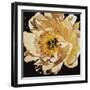 Yellow Peony-Jennifer Harmes-Framed Giclee Print