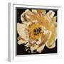 Yellow Peony-Jennifer Harmes-Framed Giclee Print