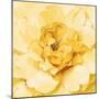 Yellow Peony-Danhui Nai-Mounted Art Print